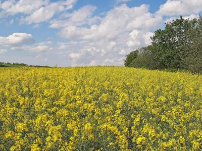 Holiday house 6 person holiday home in Sæby-By Traum - Outdoor photo 10