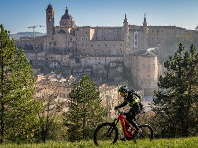 Holiday house Casale Tre Gelsi - Environment photo 27