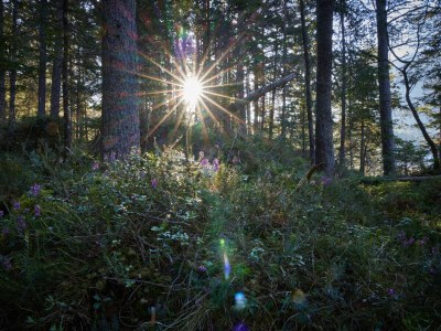 Holiday apartment Alpklang Apartment #2 - Environment photo 23