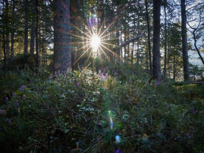 Holiday apartment Alpklang Apartment #3 - Environment photo 22