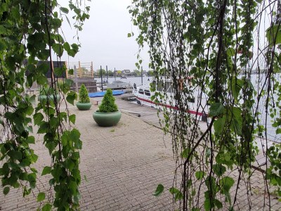 Holiday house Nagtegaal 2 - Outdoor photo 13