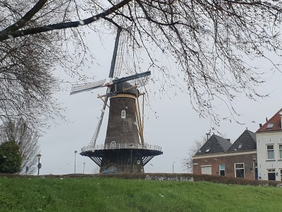 Holiday house Home - Environment photo 40