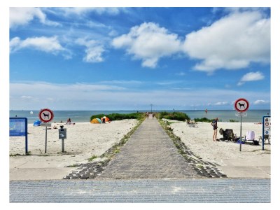 Chalet S50 - Environment photo 24