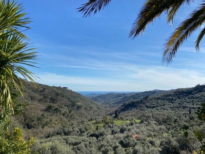 Holiday house Villa Marcello - Outdoor photo 5