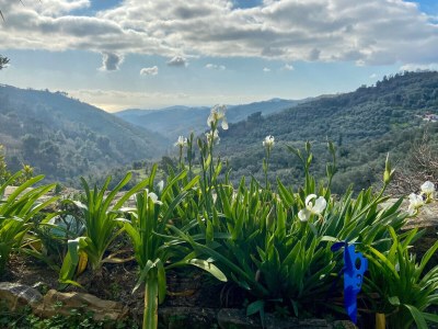 Holiday house Villa Marcello - Outdoor photo 10