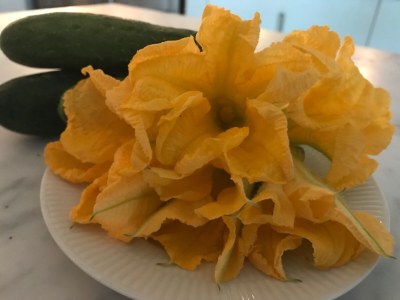 Holiday house Villa Marcello - Outdoor photo 12