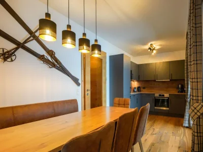 Apartment Kitzbühel alpine lodge with private infrared sauna - Features photo 7