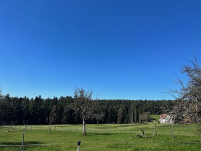 Holiday apartment Westweg - Outdoor photo 10