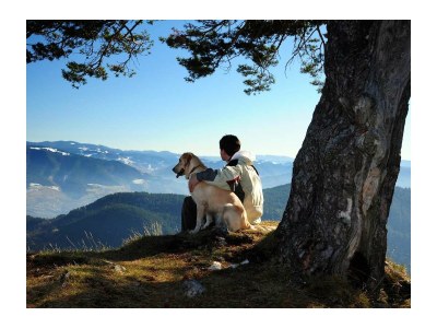 Holiday house Steinwies 1 - Environment photo 22