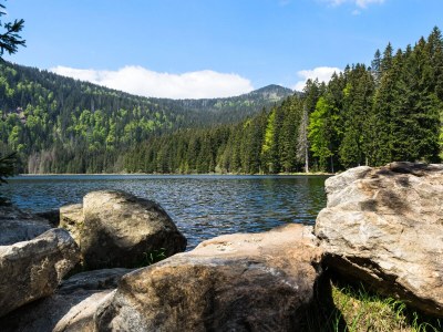 Holiday house Steinwies 1 - Environment photo 25