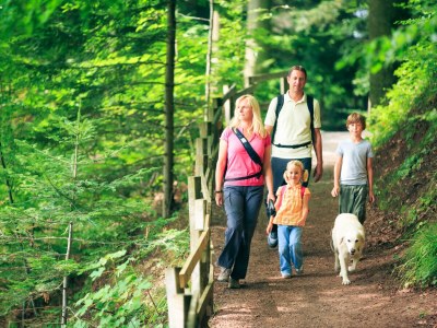 Holiday house Steinwies 1 - Environment photo 29