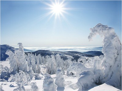 Holiday house Steinwies 1 - Environment photo 32