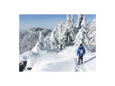 Holiday house Steinwies 1 - Environment photo 34