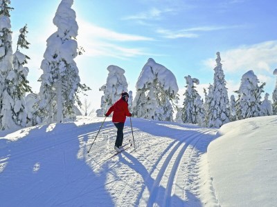 Holiday house Steinwies 1 - Environment photo 38