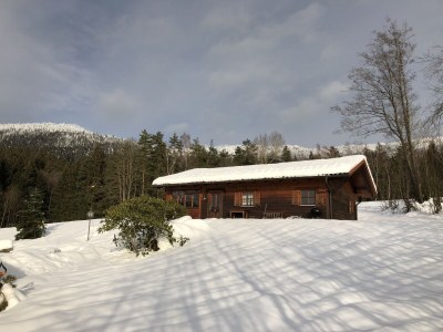 Chalet "Riedlstein" cabin 1 - Outdoor photo 5