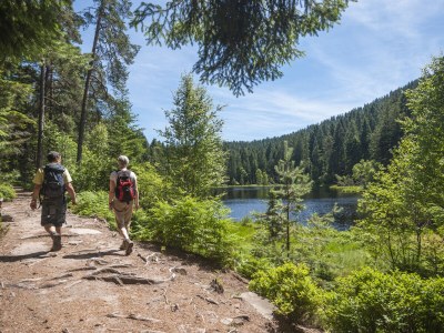 Chalet "Riedlstein" cabin 1 - Environment photo 21