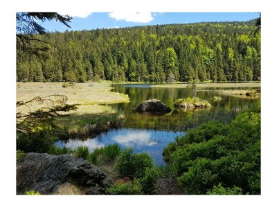 Chalet "Riedlstein" cabin 1 - Environment photo 22