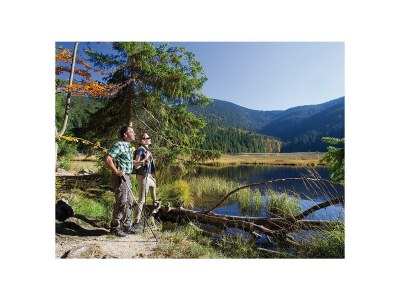 Chalet "Riedlstein" cabin 1 - Environment photo 23