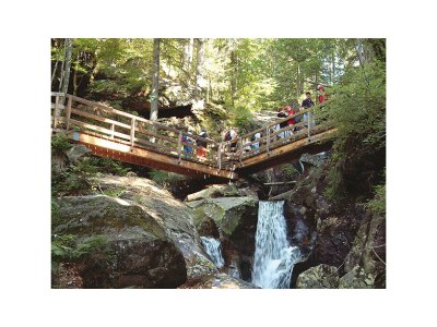 Chalet "Riedlstein" cabin 1 - Environment photo 24