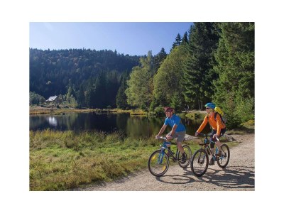 Chalet "Riedlstein" cabin 1 - Environment photo 26