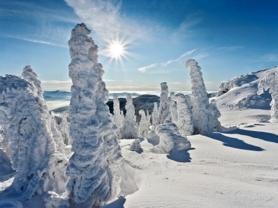 Chalet "Riedlstein" cabin 1 - Environment photo 30
