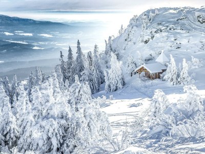 Chalet "Riedlstein" cabin 1 - Environment photo 31