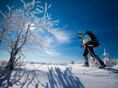 Chalet "Riedlstein" cabin 1 - Environment photo 33