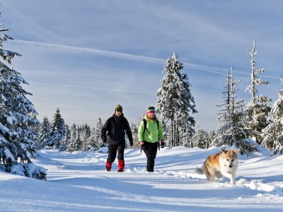 Chalet "Riedlstein" cabin 1 - Environment photo 34