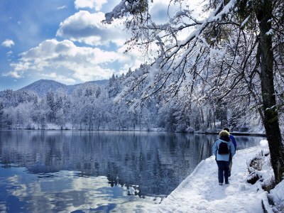 Chalet "Riedlstein" cabin 1 - Environment photo 35