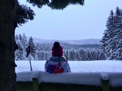 Chalet "Riedlstein" cabin 1 - Environment photo 36