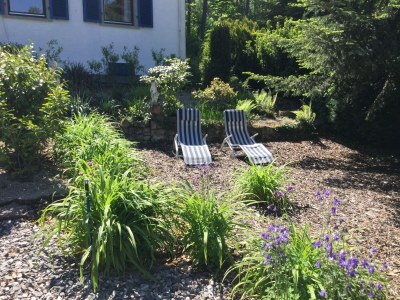 Holiday apartment Idyllisches Ferienhaus - Outdoor photo 6