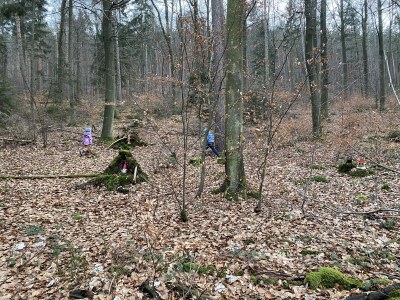 Holiday apartment Idyllisches Ferienhaus - Environment photo 25