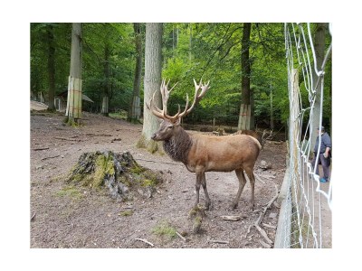 Holiday apartment Idyllisches Ferienhaus - Environment photo 31