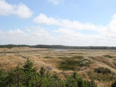 Holiday house 6 Personen Ferienhaus in Thisted - Outdoor photo 16