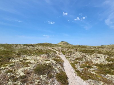 Holiday house 6 Personen Ferienhaus in Thisted - Outdoor photo 34