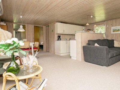 Holiday house 5 Personen Ferienhaus in Hurup Thy - Outdoor photo 13