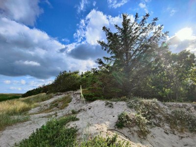 Holiday house Ruhige Oase in der Nahe des Golfplatzes-By Traum - Outdoor photo 25