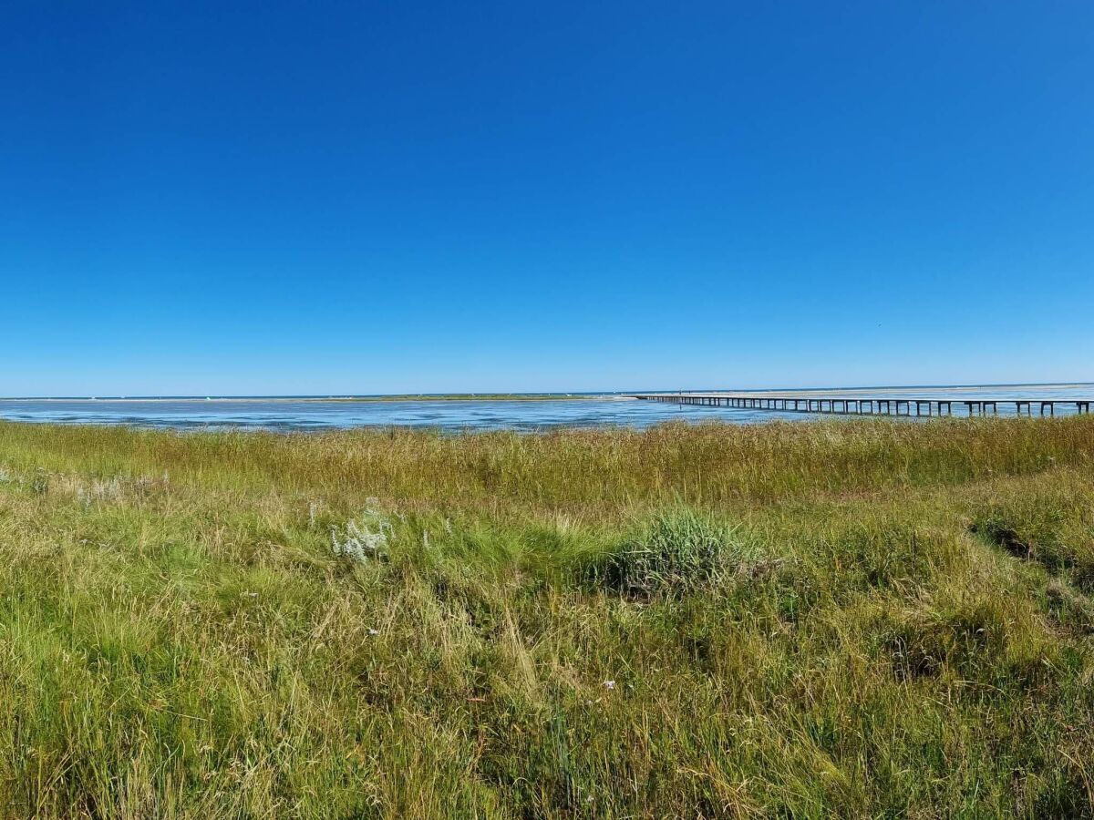 Holiday house Tranquil Waterfront Cottage-By Traum - Outdoor photo 5