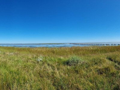 Holiday house Tranquil Waterfront Cottage-By Traum - Outdoor photo 5