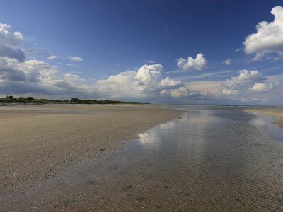 Holiday house Tranquil Waterfront Cottage-By Traum - Outdoor photo 16