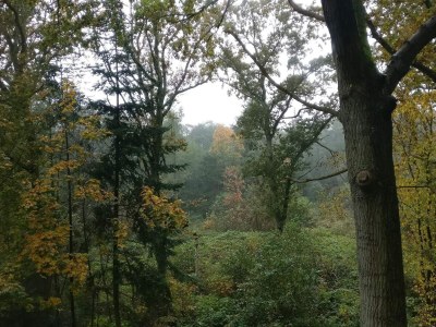 Holiday house Tranquil Waterfront Cottage-By Traum - Outdoor photo 29