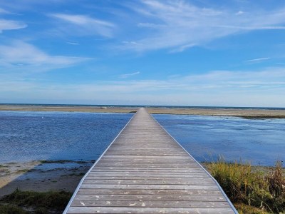 Holiday house Tranquil Waterfront Cottage-By Traum - Outdoor photo 34