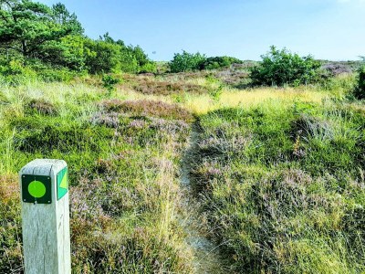 Holiday house 7 Personen Ferienhaus in Grenaa - Outdoor photo 7