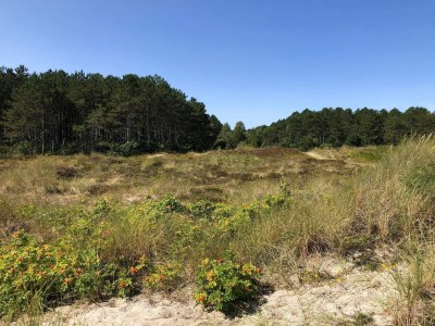 Holiday house 7 Personen Ferienhaus in Grenaa - Outdoor photo 11