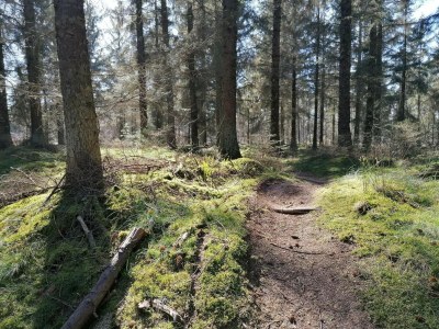 Holiday house 7 Personen Ferienhaus in Grenaa - Outdoor photo 12