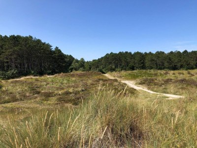 Holiday house 7 Personen Ferienhaus in Grenaa - Outdoor photo 13