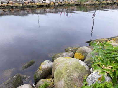 Holiday house 7 Personen Ferienhaus in Grenaa - Outdoor photo 34