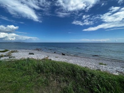 Holiday house 6 person holiday home in Ebeltoft - Outdoor photo 29