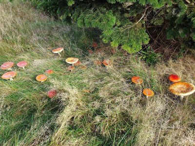 Holiday house 10 person holiday home in Væggerløse - Outdoor photo 13