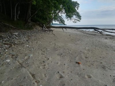 Holiday house 10 person holiday home in Væggerløse - Outdoor photo 28